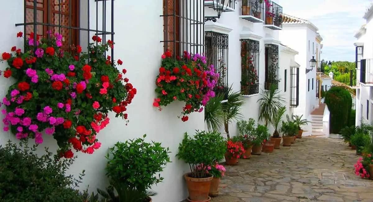 Villa Tiphareth Marbella Ngoại thất bức ảnh